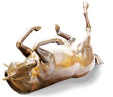 Pferd - Bronze Skulptur